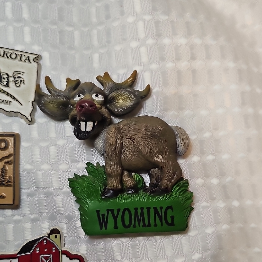 Colorful State Souvenir Magnets Set - Picture 4 of 7